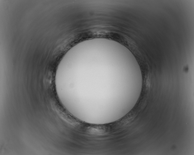 X0000116350567200912221504