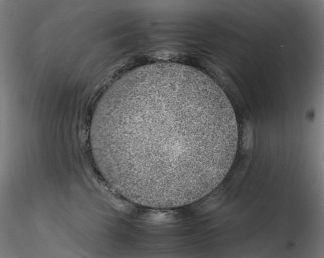 X0000116350569200912221504