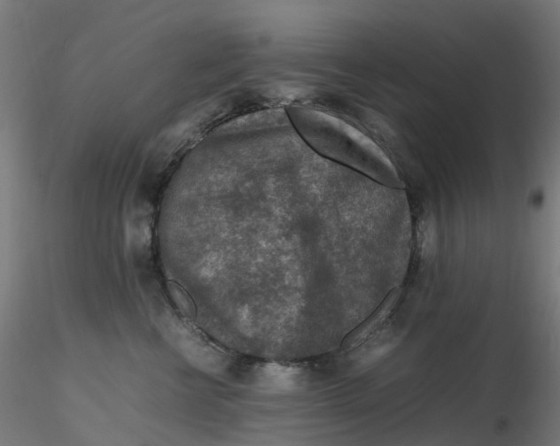 X0000116350570200912221504