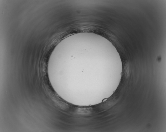 X0000116350571200912221504