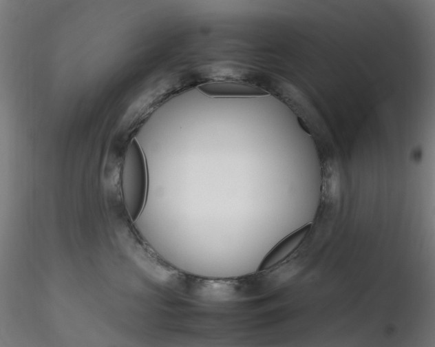 X0000116350573200912221504