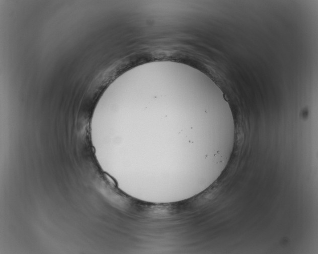 X0000116350574200912221504