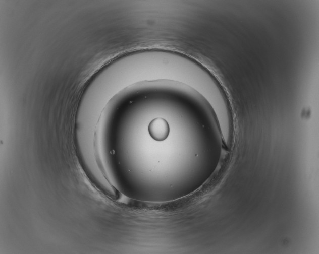 X0000116350577200912221504