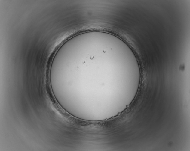 X0000116350578200912221504