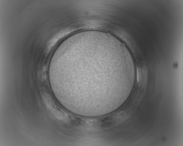 X0000116350579200912221504