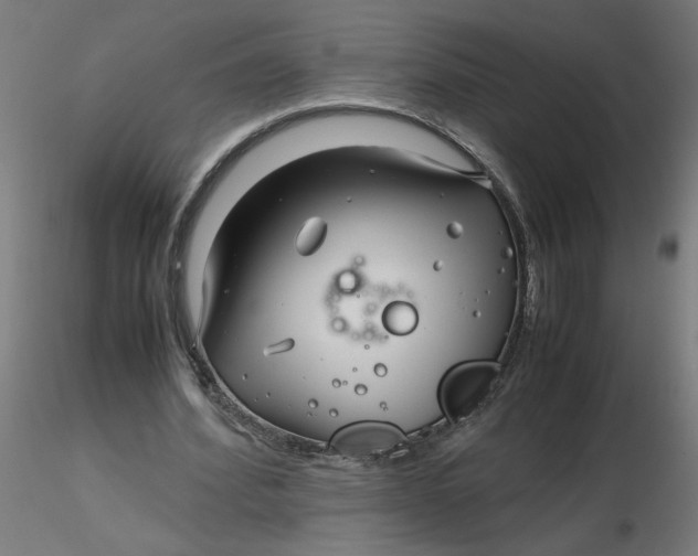 X0000116350580200912221504