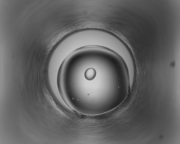 X0000116350581200912221504