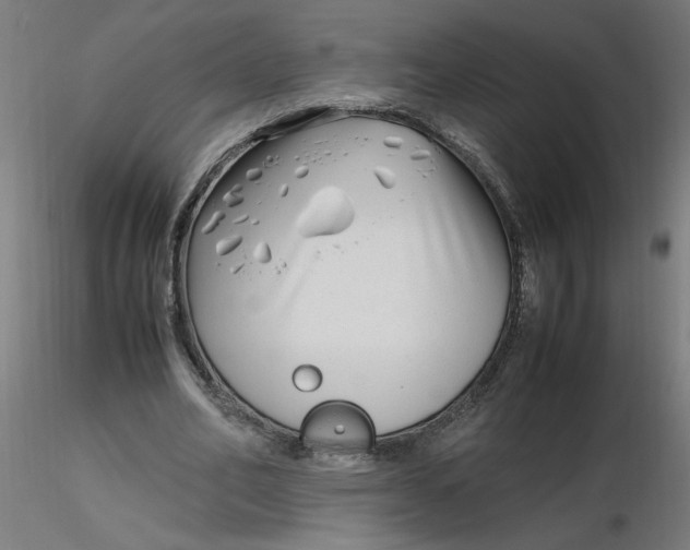 X0000116350582200912221504