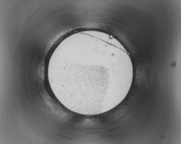 X0000116350584200912221504