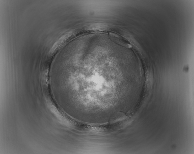 X0000116350585200912221504