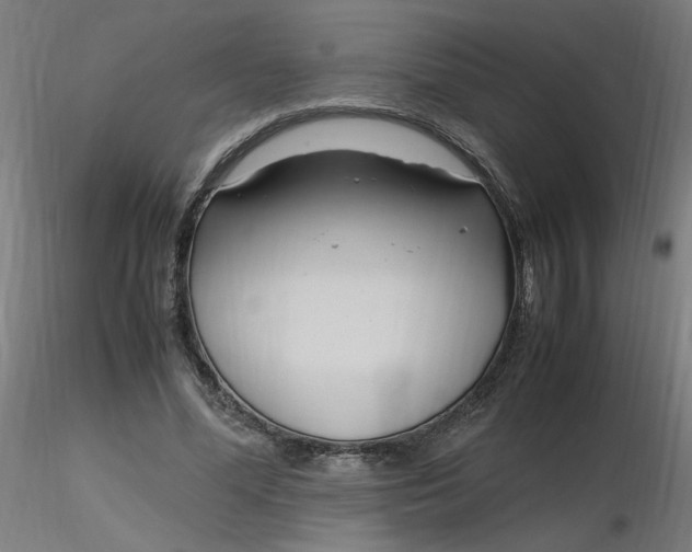 X0000116350588200912221504