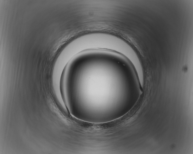 X0000116350589200912221504