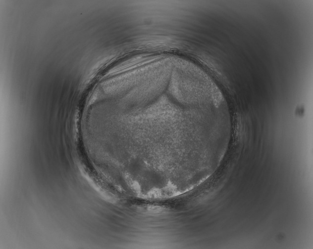 X0000116350590200912221503