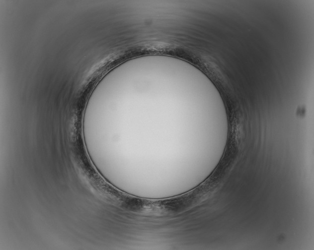 X0000116350591200912221503