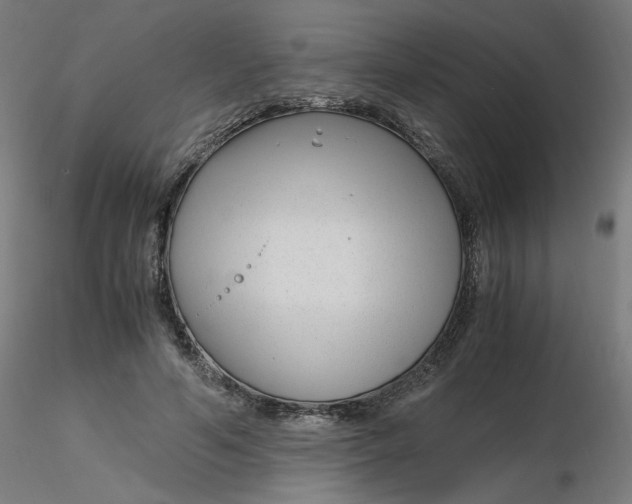 X0000116350594200912221503