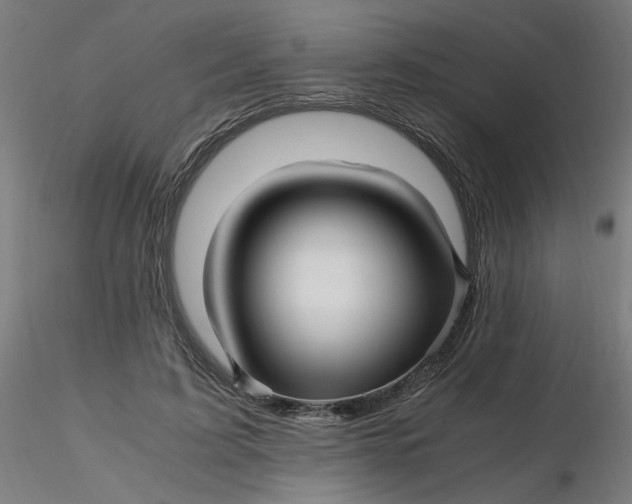 X0000116350595200912221503