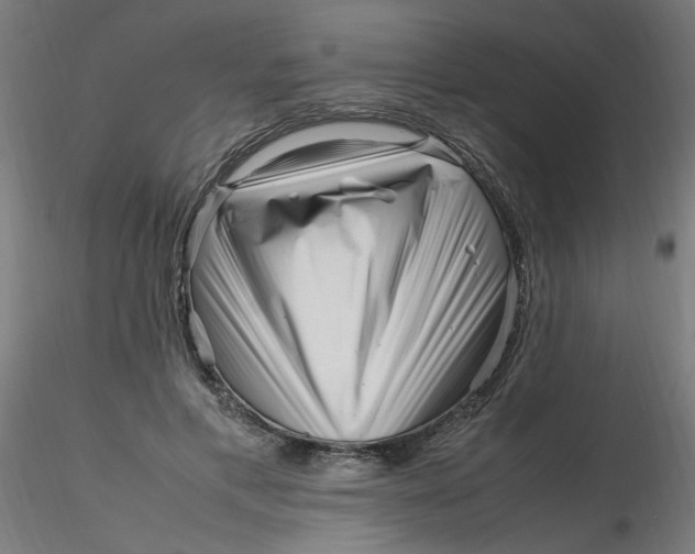 X0000116350597200912221503