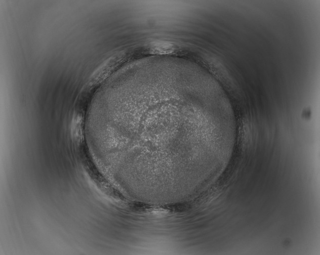 X0000116350598200912221503