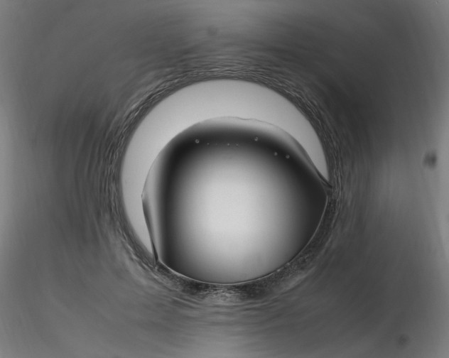 X0000116350599200912221503