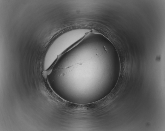 X0000116350600200912221503