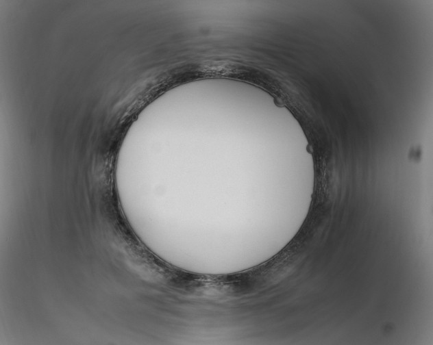 X0000116350601200912221503