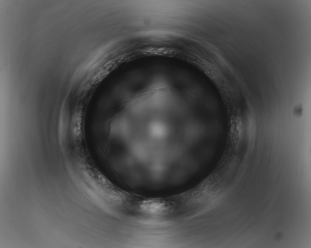 X0000116350602200912221503