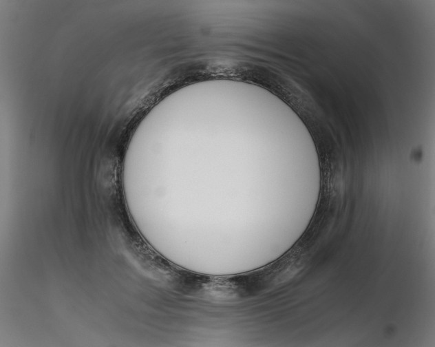 X0000116350603200912221503