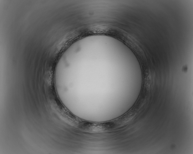 X0000116350604200912221503