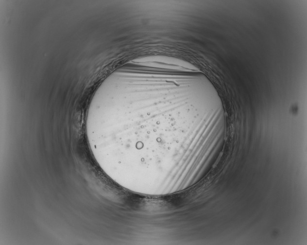 X0000116350605200912221503