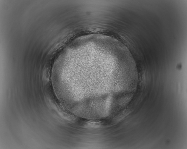 X0000116350606200912221503