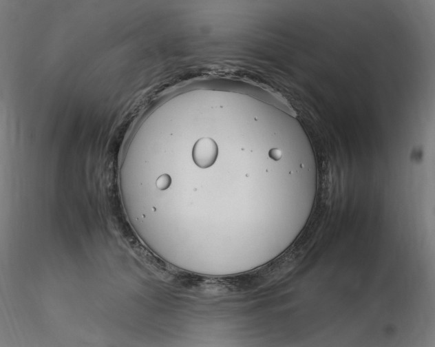 X0000116350608200912221503