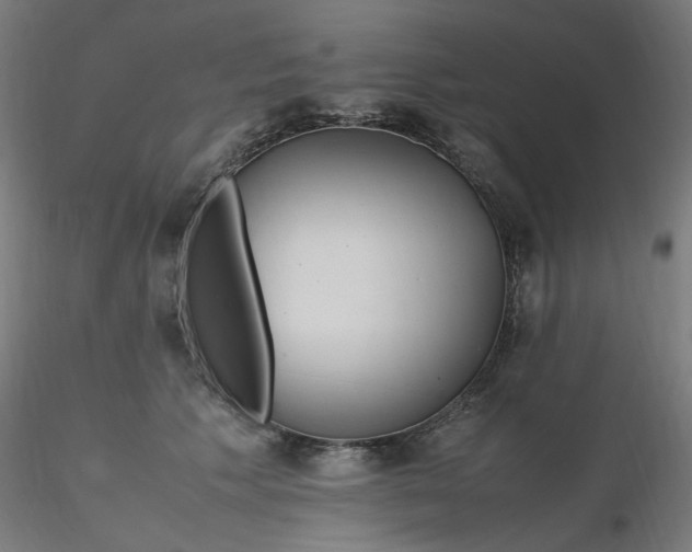 X0000116350609200912221503