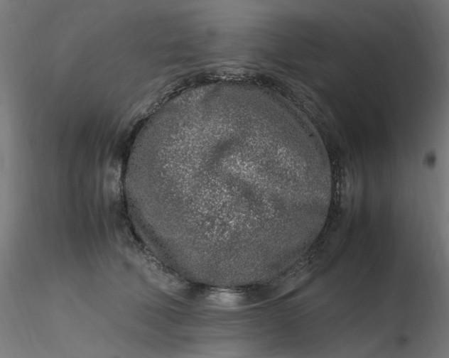 X0000116350610200912221503