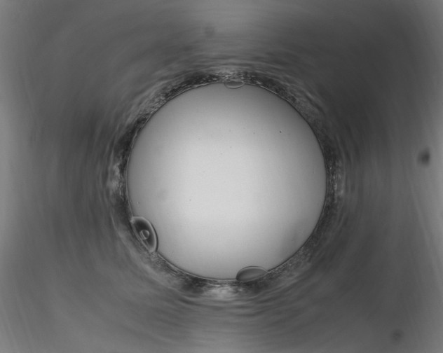 X0000116350611200912221503