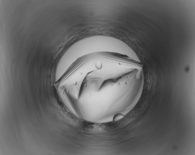 X0000116350612200912221503