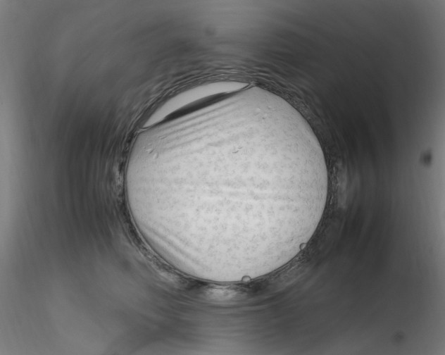 X0000116350614200912221503