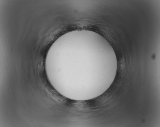 X0000116350615200912221503