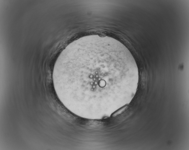 X0000116350617200912221503