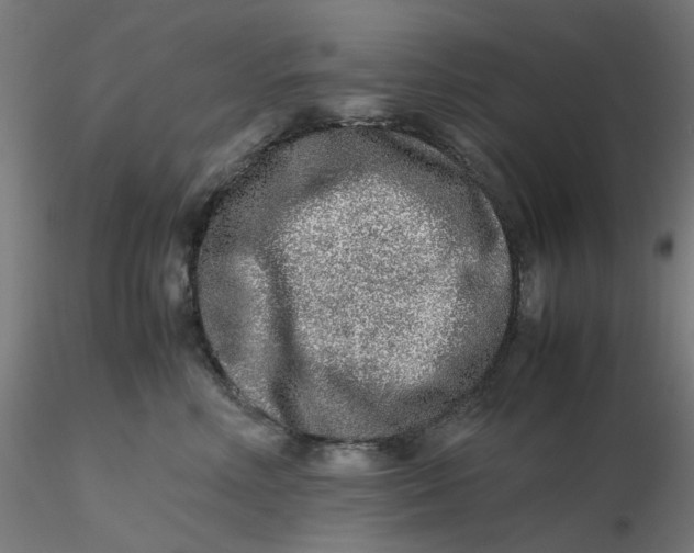 X0000116350618200912221503