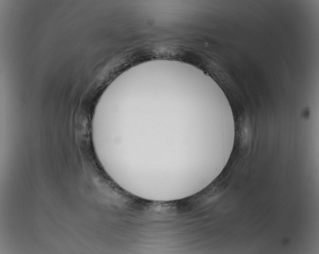 X0000116350619200912221503