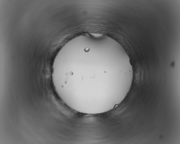 X0000116350620200912221503