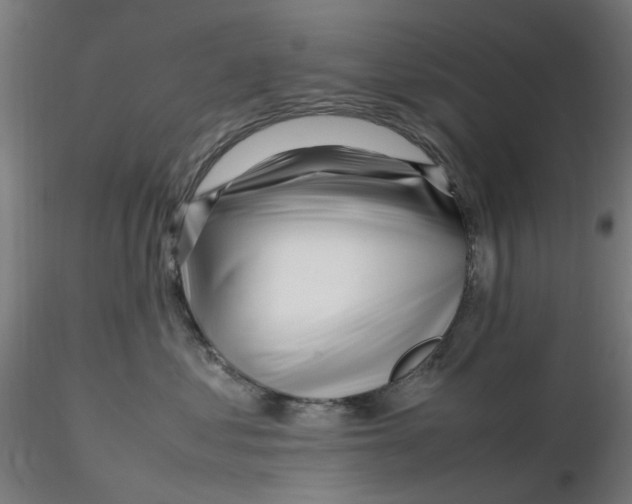 X0000116350621200912221503