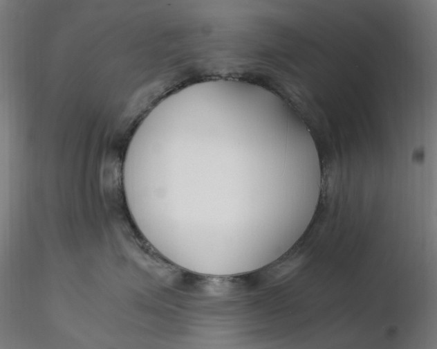 X0000116350623200912221503