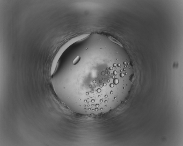 X0000116350624200912221503