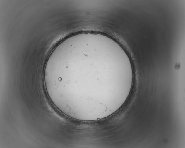 X0000116350625200912221502