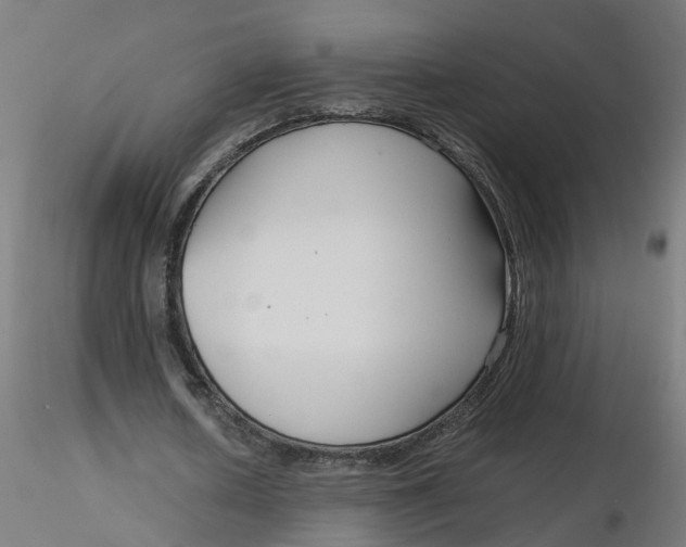 X0000116350626200912221502