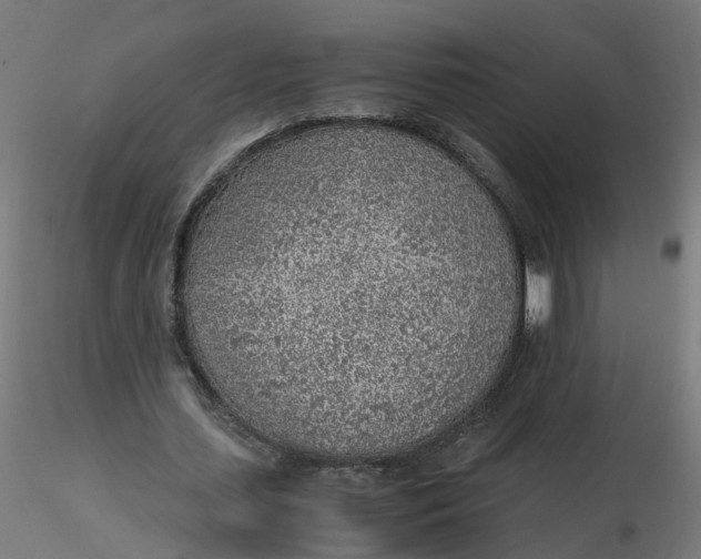 X0000116350627200912221502