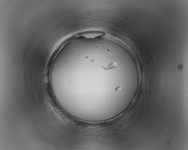 X0000116350628200912221502