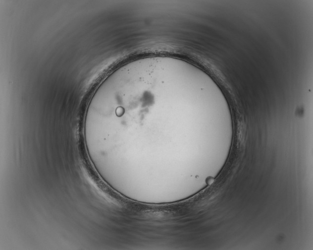 X0000116350629200912221502