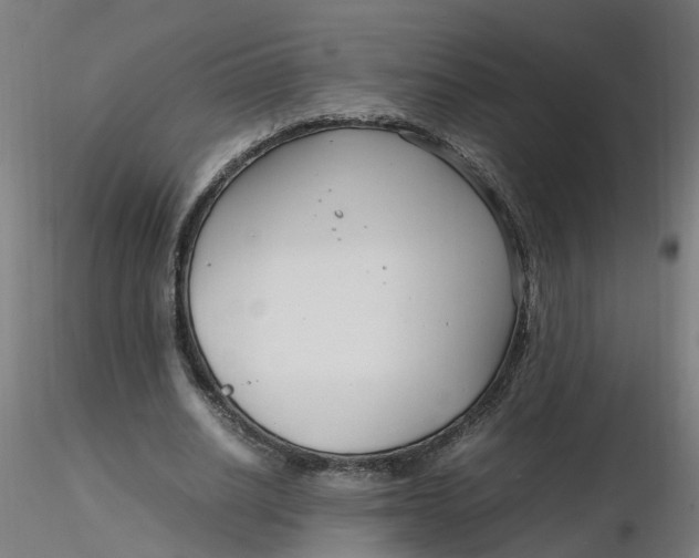 X0000116350630200912221502